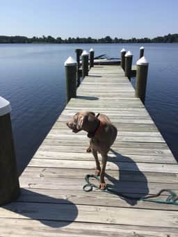Eagles Point Landing